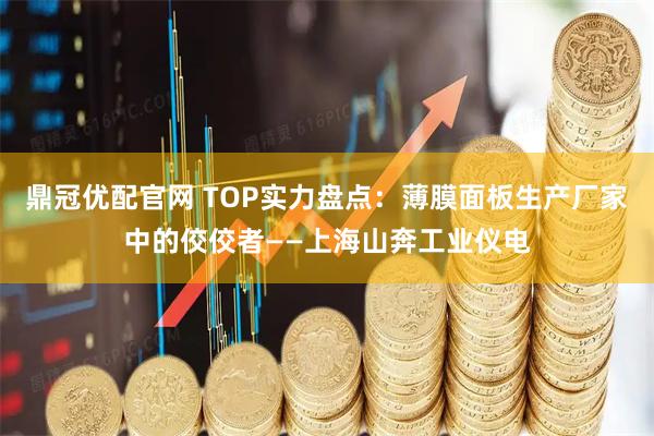 鼎冠优配官网 TOP实力盘点：薄膜面板生产厂家中的佼佼者——上海山奔工业仪电