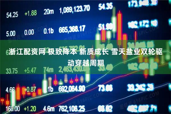 浙江配资网 极致降本 新质成长 雪天盐业双轮驱动穿越周期