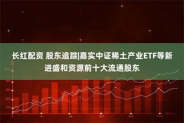 长红配资 股东追踪|嘉实中证稀土产业ETF等新进盛和资源前十大流通股东